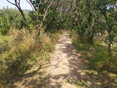 -云蒙山风景区