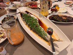 翘嘴鱼-江南荣庄