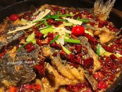 -老板恋上鱼(高新万达店)