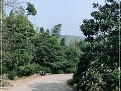 -东山风景区(洞庭东山)