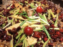 -老板恋上鱼(恒隆广场店)