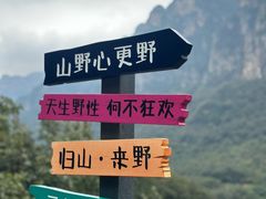 -云台山风景名胜区