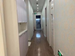 -YESIDO椰岛造型