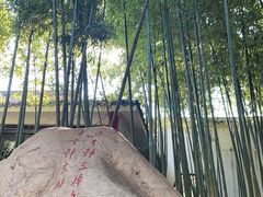 -观唐（国际）度假村温泉