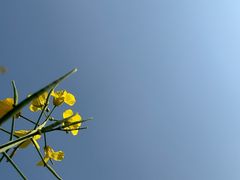 -中国天府农业博览园