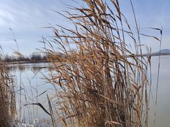 -野鸭湖国家湿地公园