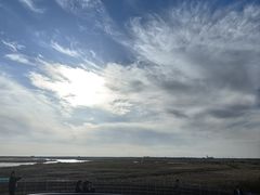 -盐城丹顶鹤湿地生态旅游区