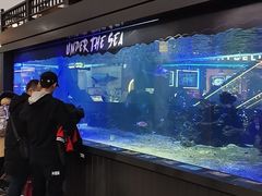 -凯德广场(学府店)