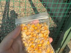 -南京金牛湖风景区