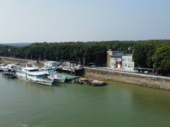 -大湾区中央湿地公园
