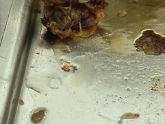 -比尔森啤酒自助烤肉(红旗街店)