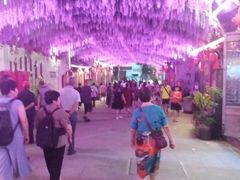 -婺源梦里老家大型山水实景演出