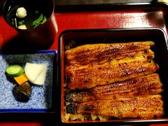 鳗鱼饭-料亭菊水楼