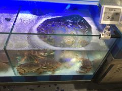 -中百仓储超市有限公司(越秀星汇维港店)