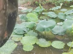 -天毓山庄·餐厅