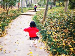 -仁和公园(顺义区)