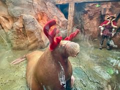 -波塞冬旅游度假区