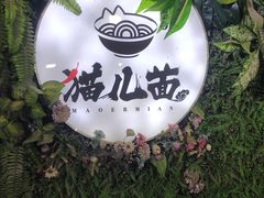 -老地方猫儿面(磁器口店)