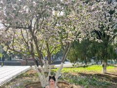 -山东师范大学(千佛山校区)