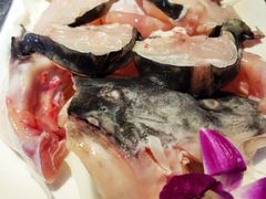 清江肥鱼-鱼豆吉·豆浆鱼火锅(宜昌万达店)
