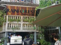 -Rainforest
