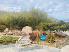 -竹子庵公园