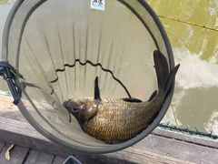 -酷鱼垂钓CLUB(朝阳区博大路店 )