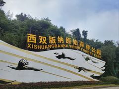 -西双版纳原始森林公园