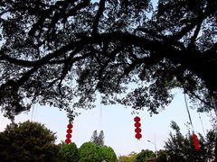 -潮州西湖