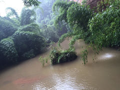 iphone_upload_pic-沐川竹海旅游景区