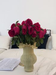 -WENDY·温迪皮肤管理