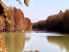 -上海海湾国家森林公园