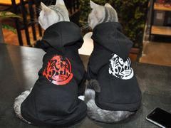 -艾贝尔宠物医院 ·内科全科(梁溪路店)