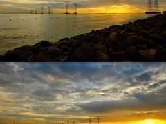 -宝安西湾红树林湿地公园