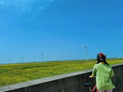 -上海长兴岛郊野公园