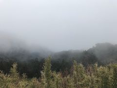 -太鲁阁公园