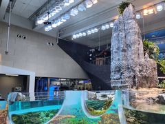 -西雅图水族馆