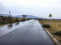 -御道口草原森林风景区