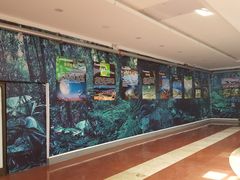 -诸城市恐龙博物馆