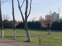 -汉长安城未央宫国家考古遗址公园