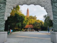 -顺峰山公园