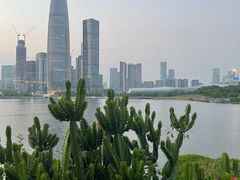 -深圳湾公园(南山区)
