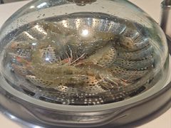 -蔚海之都·象山蒸汽海鲜(仙霞路店)