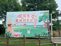 -田园东方蜜桃村的田野营地
