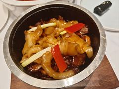 石锅神牛花胶筒-广州酒家(文昌总店)