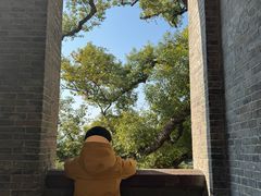 -江心屿景区