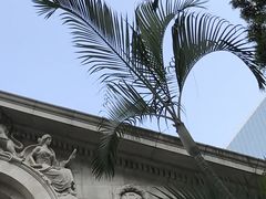-终审法院
