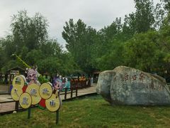 -北京鹿世界主题园