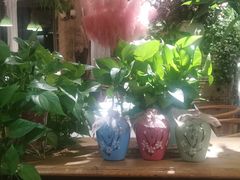 -春暖花开(西溪店)