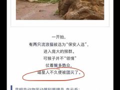 -昆明动物园